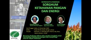 deCENTER LKNawacita Akan Mengadakan Workshop dan Pameran “SORGHUM KETAHANAN PANGAN DAN ENERGI”